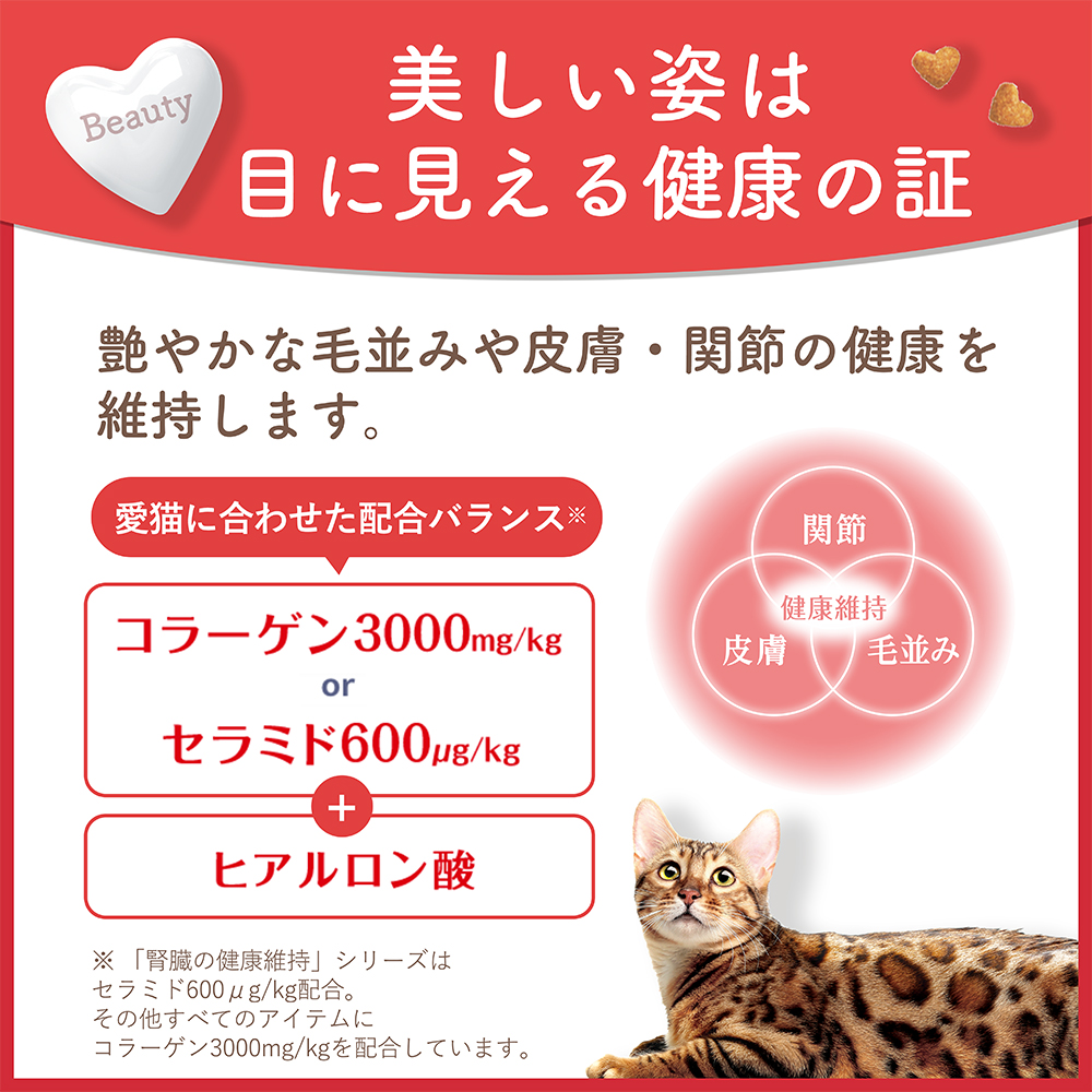ビューティープロ キャット 下部尿路の健康維持 11歳以上 | 日本