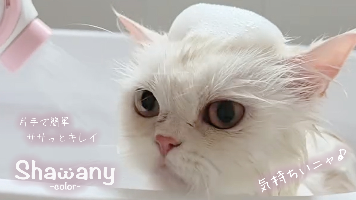猫ちゃんを簡単・スピーディに洗えるシャワーヘッド 「シャワニー
