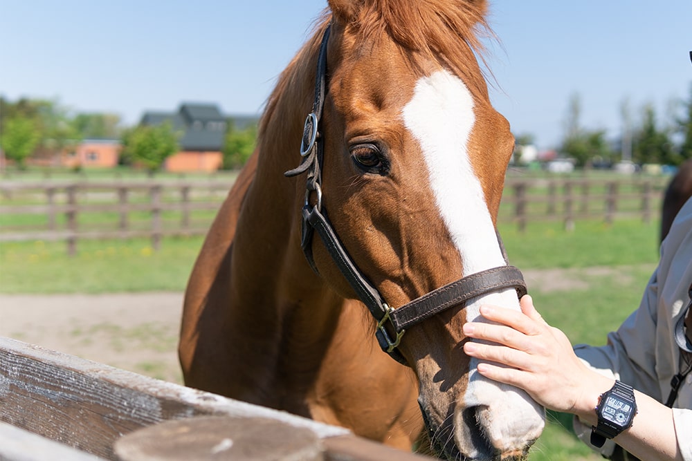 砂川ファクトリーの愛されキャラクター｜アッシュゴールドキーホルダー