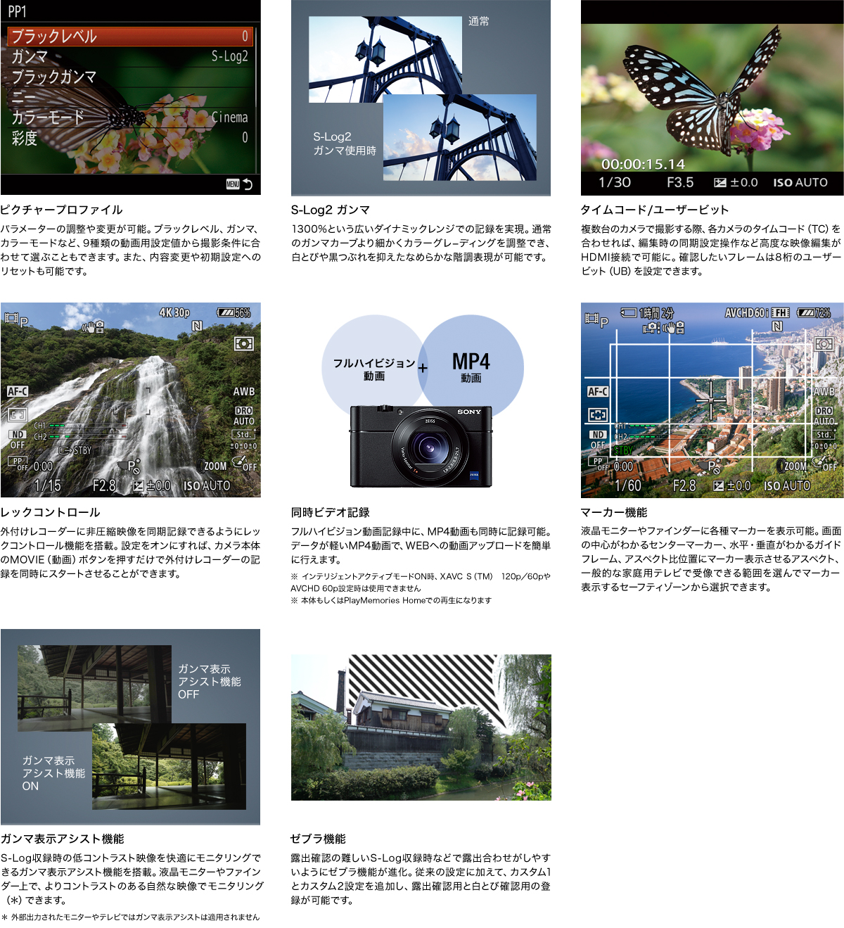 RX100V(DSC-RX100M5) 特長 : プロ仕様の動画性能 | デジタルスチル