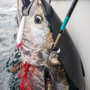 Souls Performance Studio 16 Ocean's 70 Power Class Ashura Death