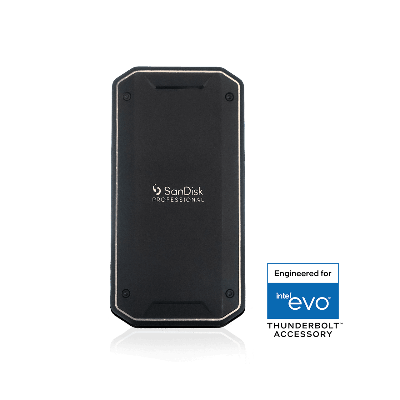 2 TB SanDisk Professional PRO-G40 SSD (exFAT) | Sandisk