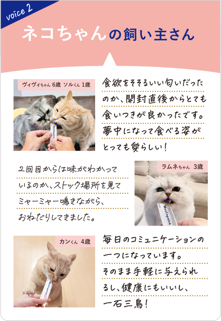 SantéAge [サンテアージュ] - NINAPHARM JAPON｜ポジティブ