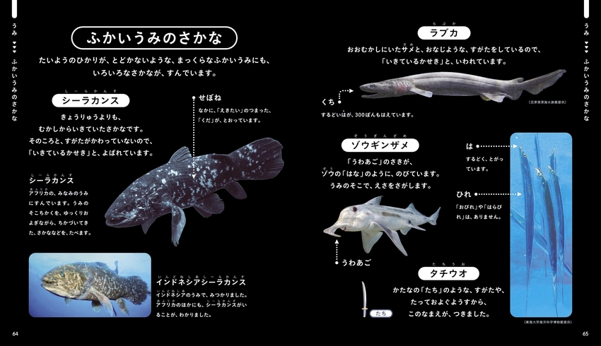 さかなずかん｜成美堂出版