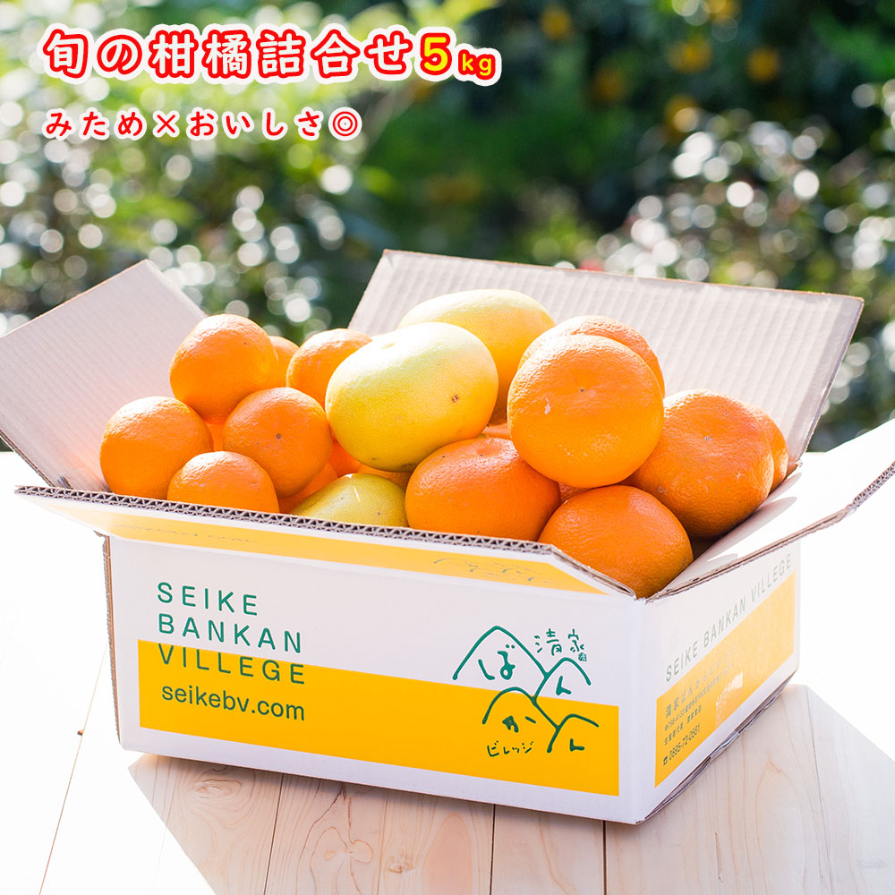 旬の柑橘詰め合わせ 訳あり10kg(5kg×2箱)【当店おまかせ3種類以上が