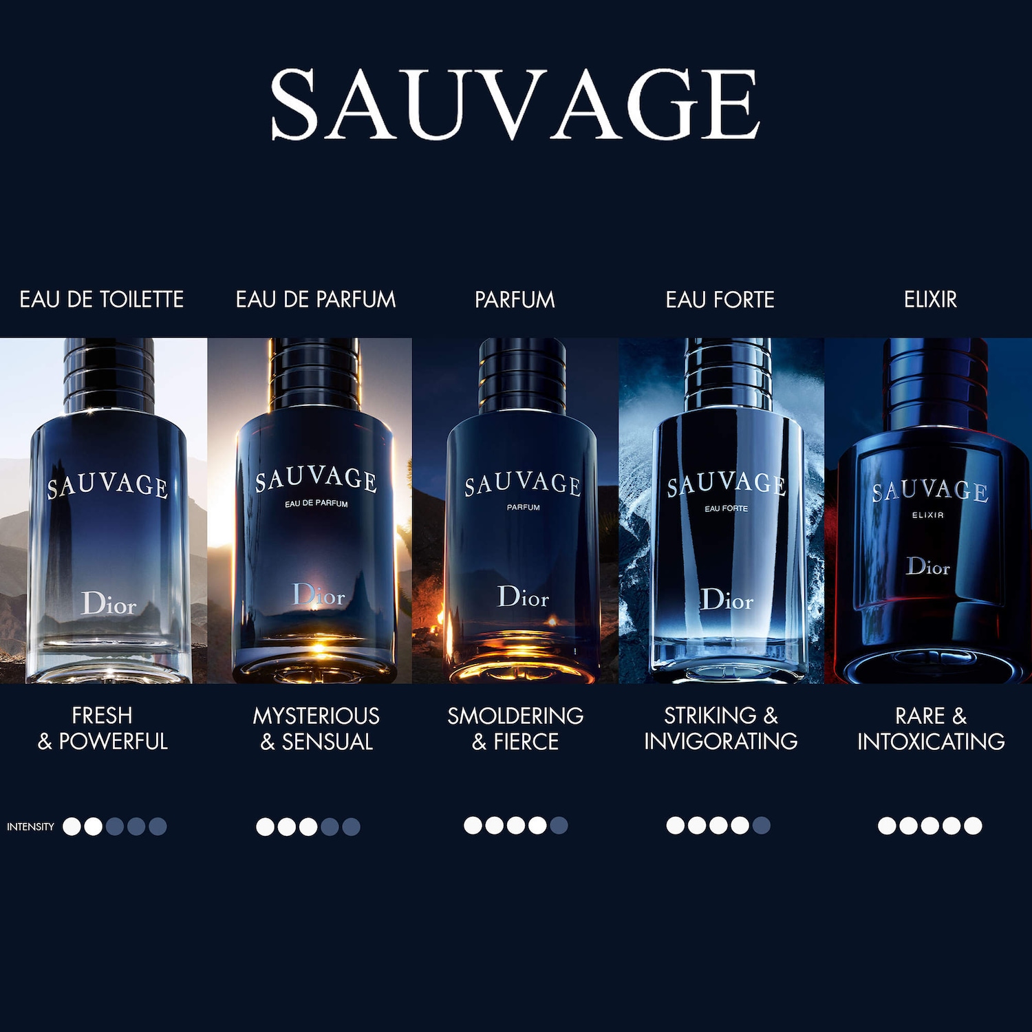Sauvage Elixir - Dior | Sephora
