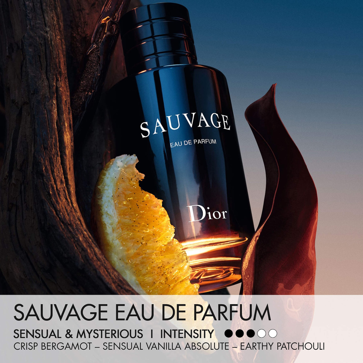 Sauvage Eau de Parfum - Dior | Sephora