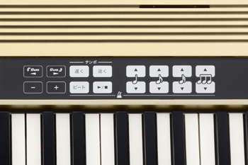 Roland JUSTY HK-100 ハーモニー＆リズム練習用キーボード