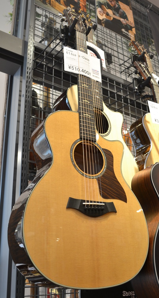 アコースティックギター】 テイラー 614ce 入荷しました｜島村楽器