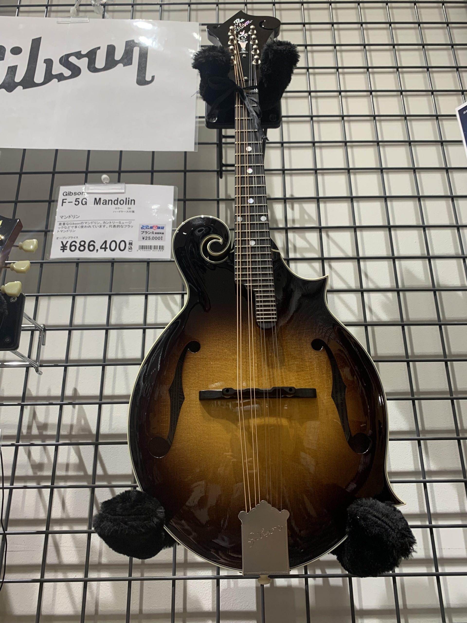 マンドリン入荷】あのGibsonの歴史あるマンドリンが入荷！！｜島村楽器