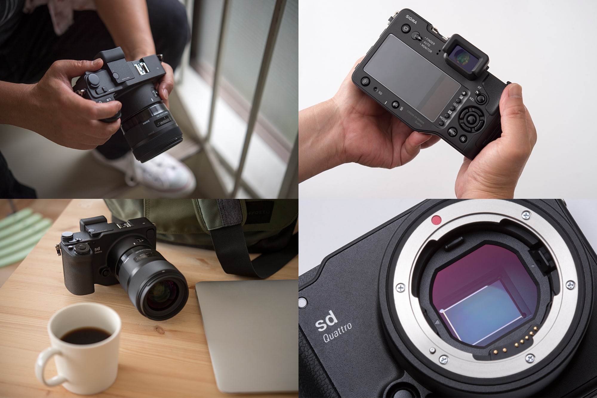 sd Quattro Impression Vol.01 | sd Quattro Impression | SIGMAカメラ