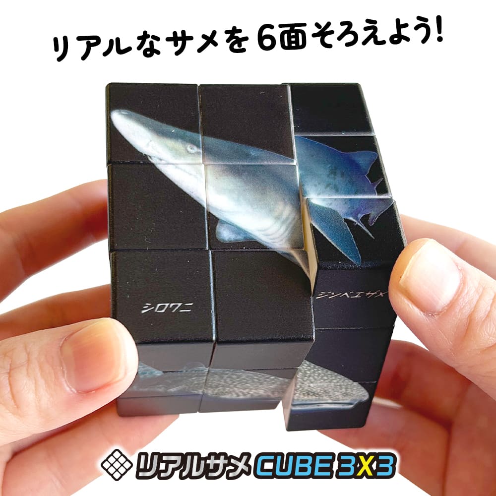 商品一覧 - 株式会社シルバーバック