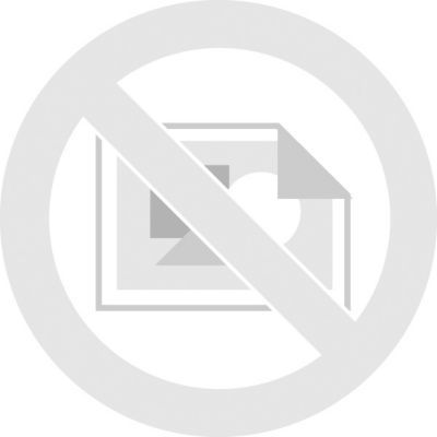 Apple iPad Air M3 Chip 13