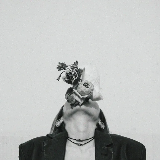 ARCHE / SUBLIMATED [LP - PCJI-00001]：JAPANESE：アナログレコード