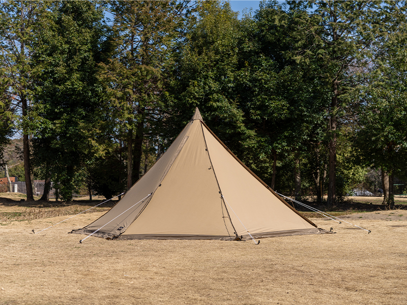 tasso7-fullclose.jpg