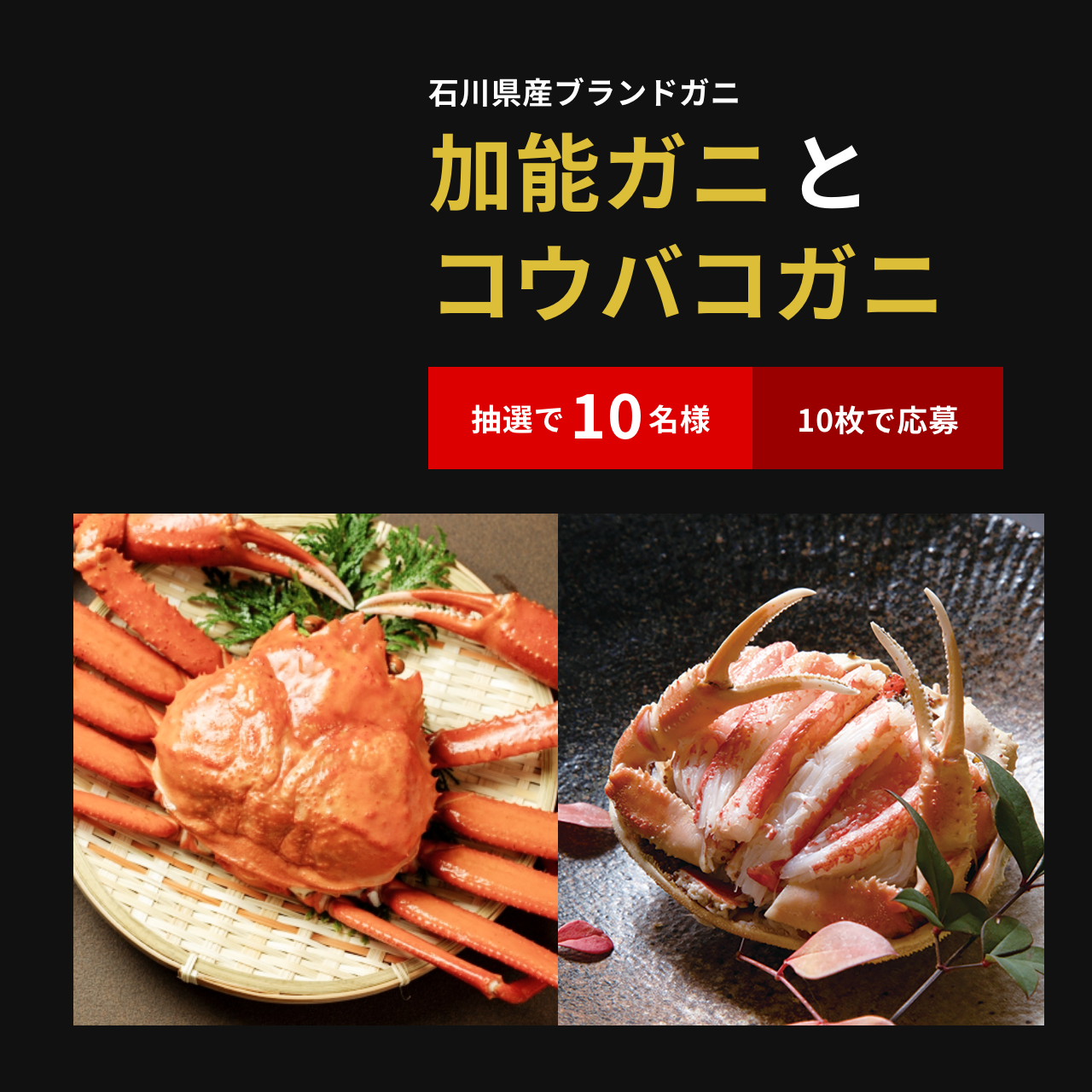 カニカマ誕生50周年 キャンペーン | 株式会社スギヨ
