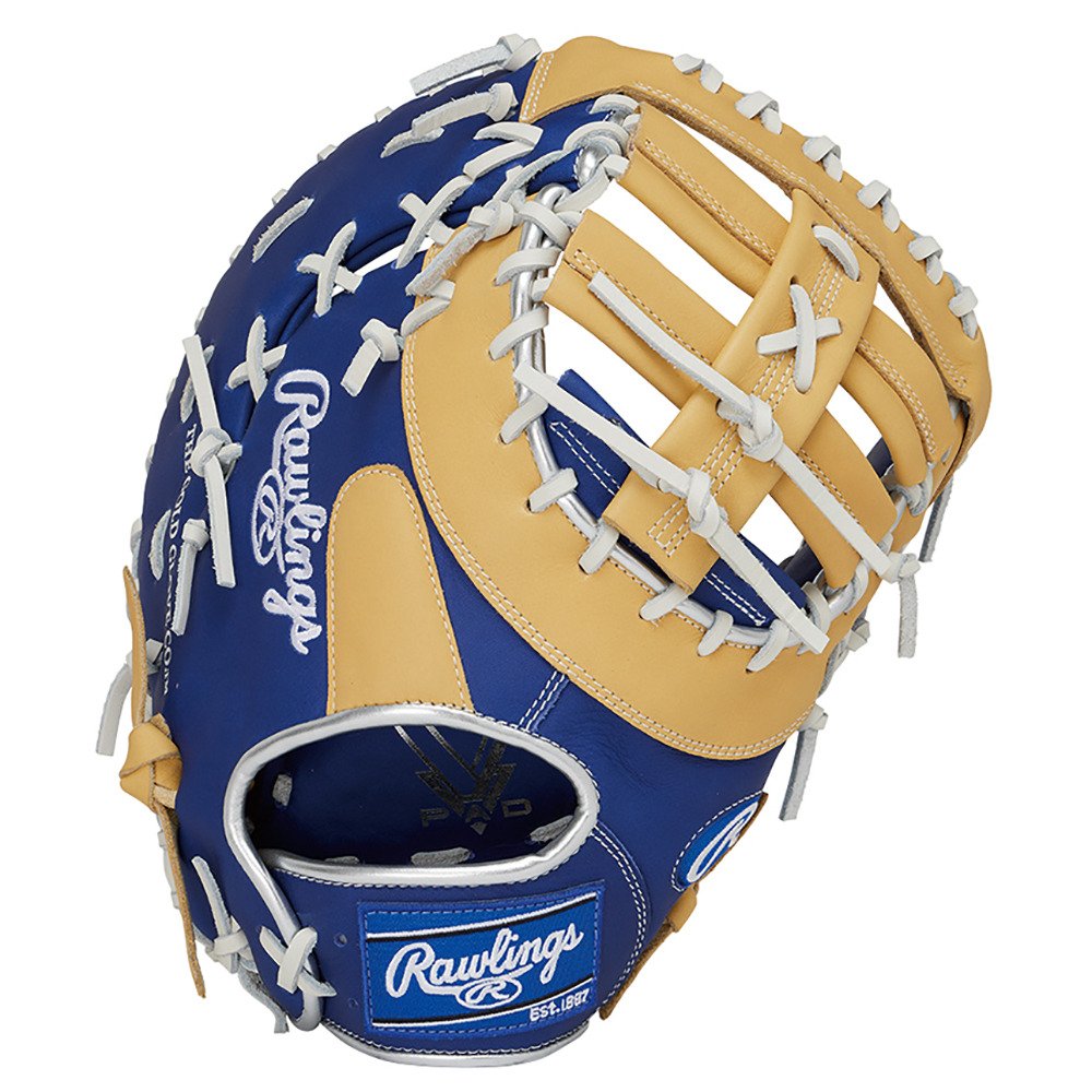 ローリングス（Rawlings）（メンズ）ソフトボール用グラブ グローブ