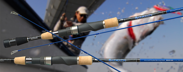 BAYMATIC / ベイマティック ｜PALMS ｜ 株式会社パームス