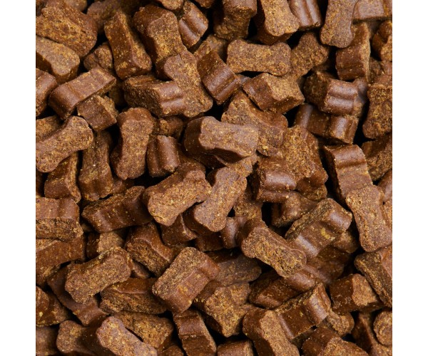 Daily Probiotic - 60ct | Pet Naturals