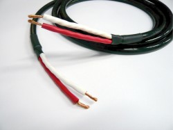 KRYNA、「Spca7」発売記念キャンペーンを実施 － WBTのバナナプラグ