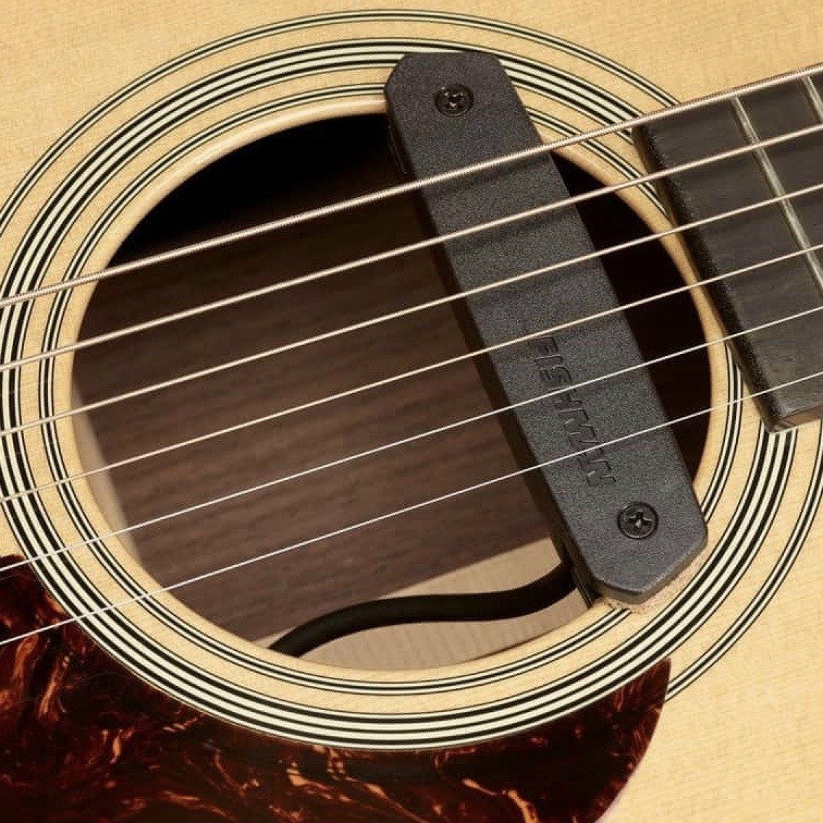 Fishman Neo-D Humbucker Soundhole Pickup (PRO-NEO-D02) - Promenade