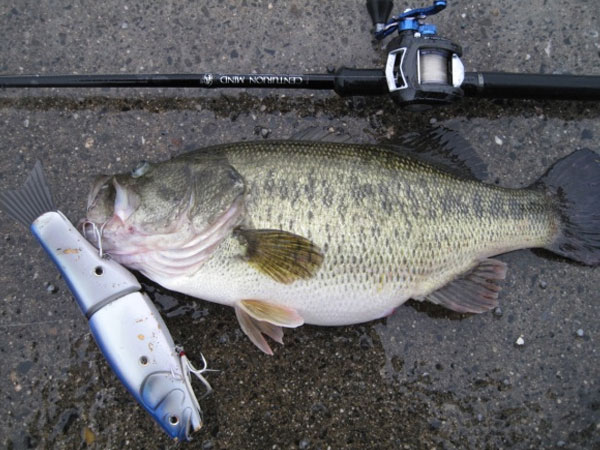 PRODUCTS - RomanMade【ロマンメイド】