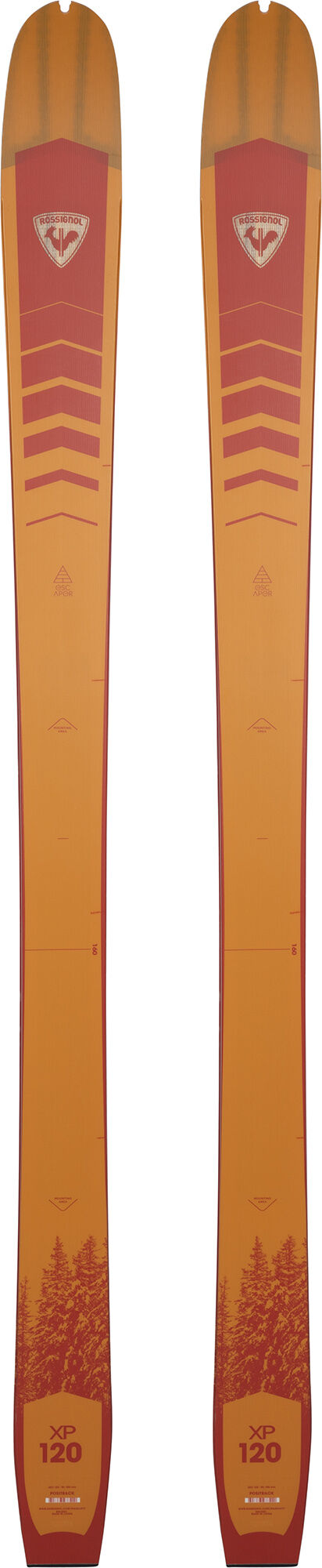 Unisex Nordic Backcountry Skis XP 120 Positrack | SKATING | Rossignol