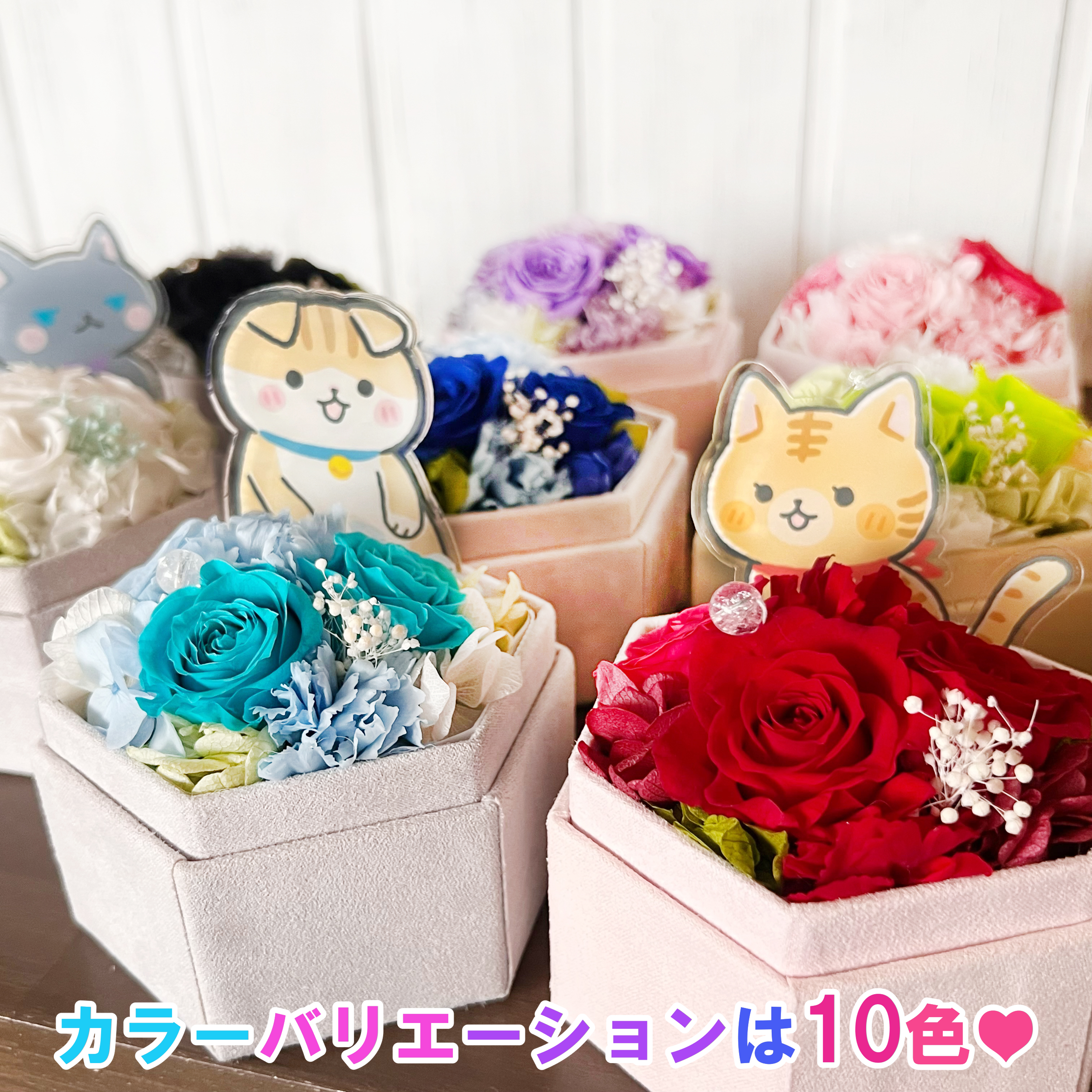 楽天市場】推し活「10色 フラワーステージBOX 」 プリザーブドフラワー