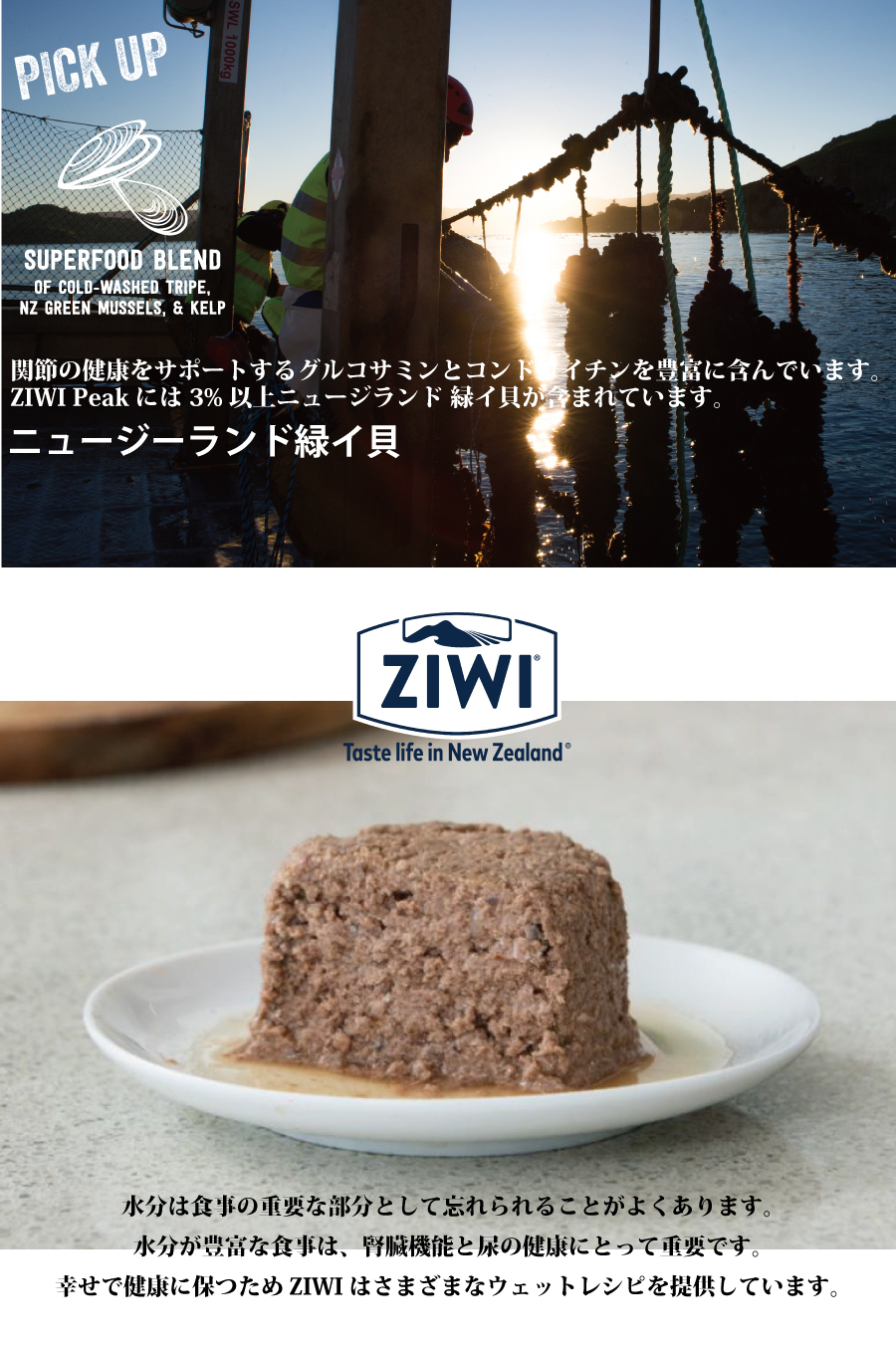 楽天市場】ジウィピーク ZIWI Peak ウェットドッグフード トライプ