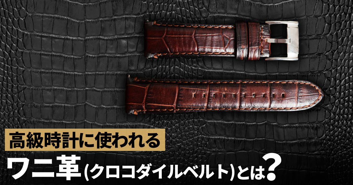 高級時計に使われるワニ革(クロコダイルベルト)についての基礎知識