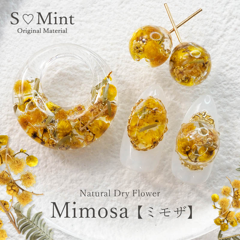 rednails web channel / Natural Dry Flower Mimosa【ゆうパケット】