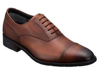 REGAL ストレートチップ GORE-TEX 幅広EEE 大きいサイズ（35HRBCEB