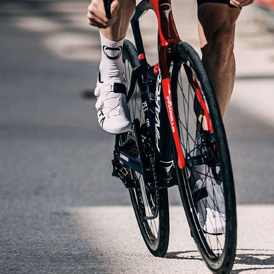 フィジーク：新製品】fi'zi:k 数量限定生産 VENTO STABILITA CARBON
