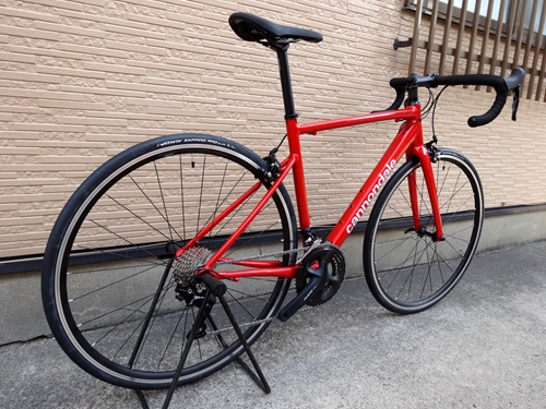 Cannondale CAAD Optimo 1-(新潟の自転車のプロショップ-佐々木輪店)