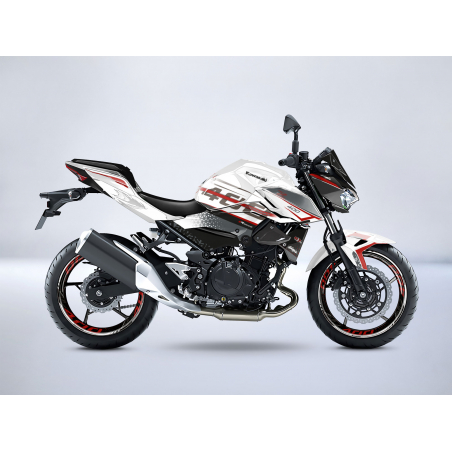 Kawasaki Z400 SHOCKWAVE decals set