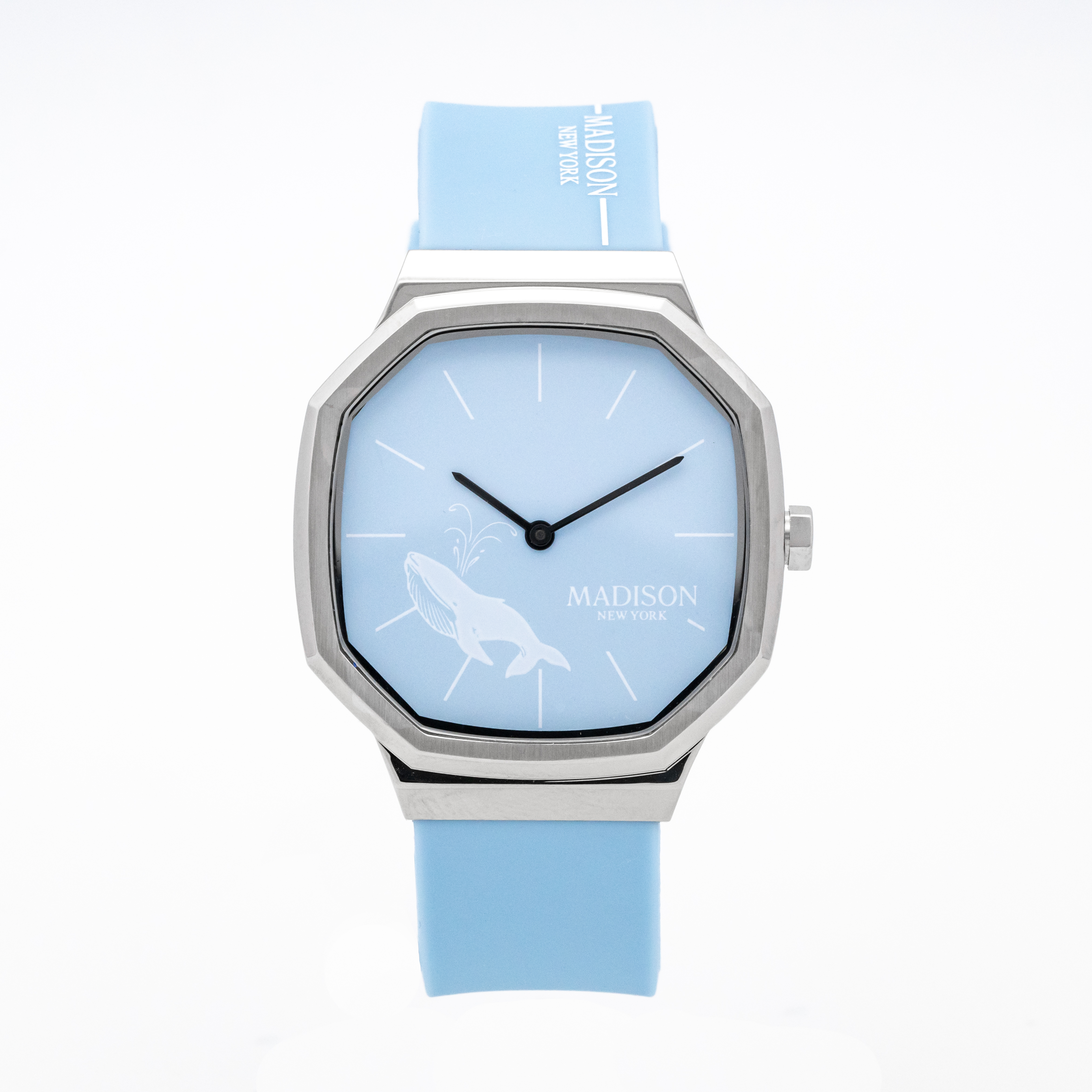 マディソン ニューヨーク 残念じゃない海の生きものシリーズ クジラ