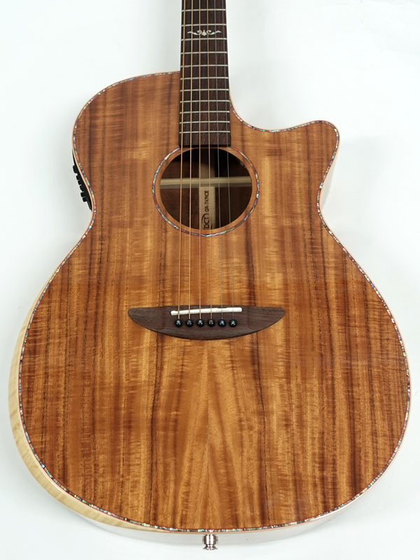 DCT GR-747KCE エレアコ アコースティックギター 特価品 送料無料! 30