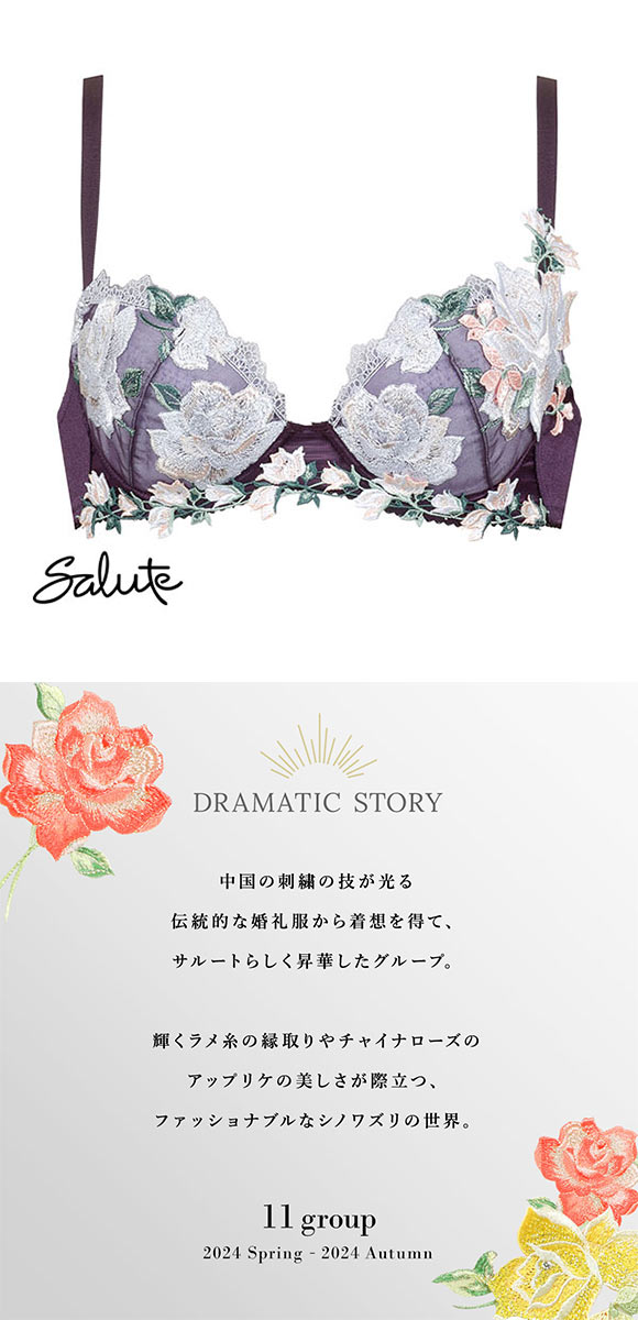 ワコール Wacoal サルート Salute 11G BTJ411 P-UP ブラジャー BC