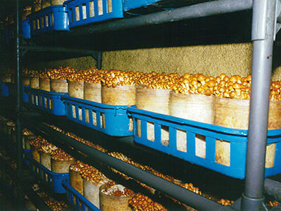 超音波式加湿器KNCタイプ 機能・特長│業務用加湿器・産業用加湿器の