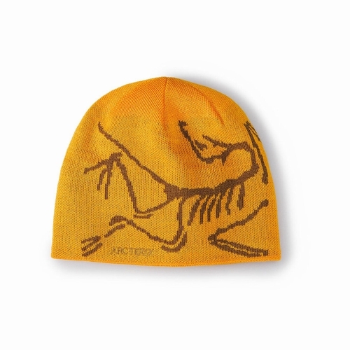 Bird Head Toque （バード ヘッド トーク）ARC`TERYX（アークテリクス