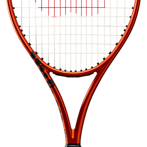 ウインザーオンラインショップウイルソン バーン100LS V5.0（wilson