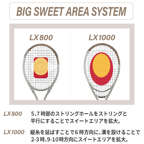 ウインザーオンラインショップダンロップ エルエックス 800 ( DUNLOP