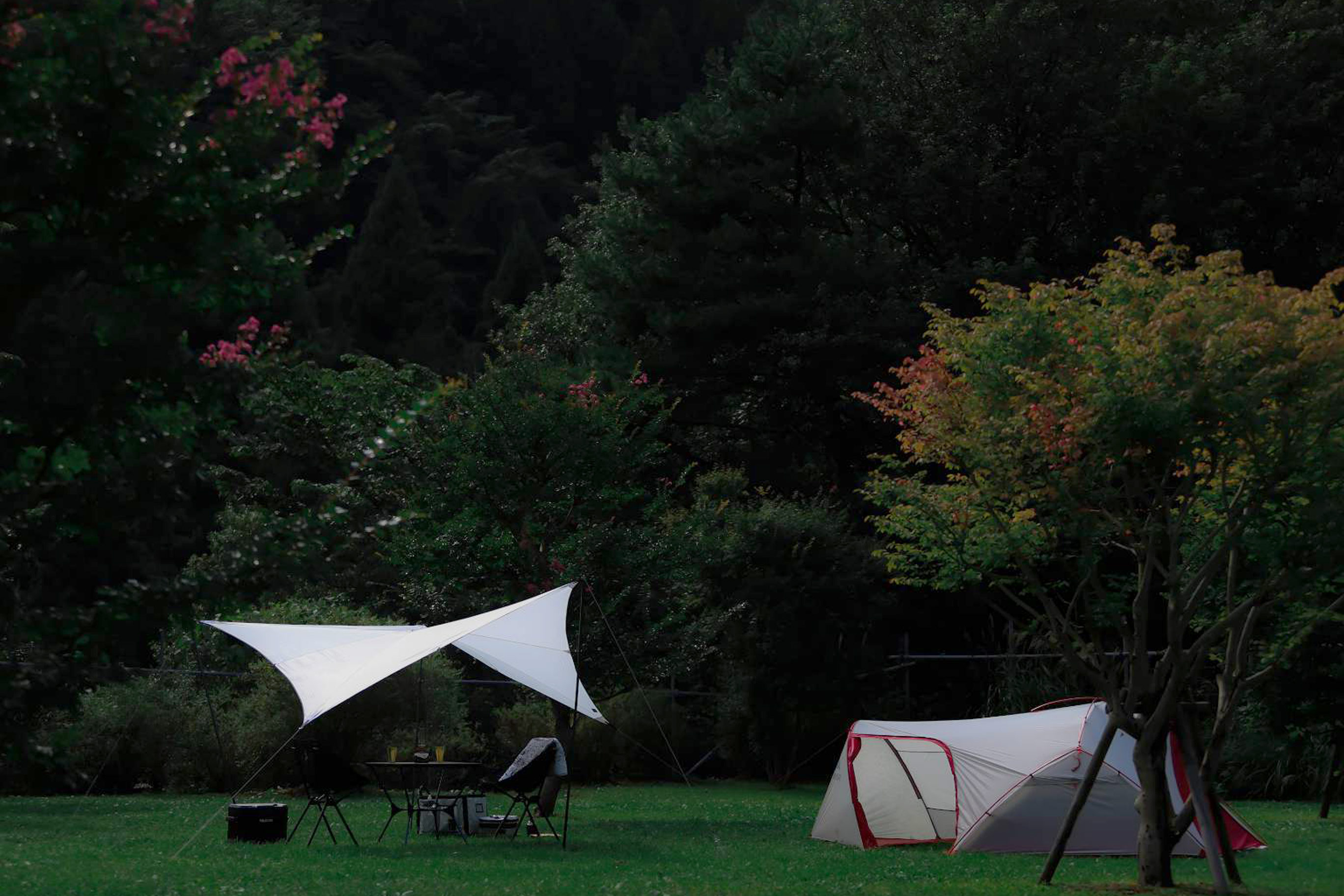 WINDY AND RAINY / TOPページ