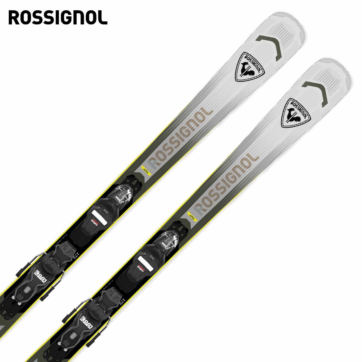 25-26NEWモデル：ロシニョール / ディナスター】最新注目モデルを一挙