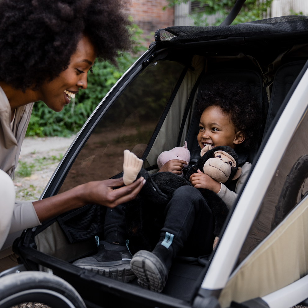 Thule Chariot Cross 2 single | Thule | United States