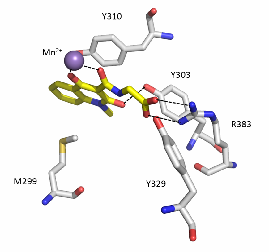 IOX2 | Structural Genomics Consortium