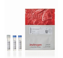 LIVE/DEAD™ Fixable Orange (602) Viability Kit, for 561 nm