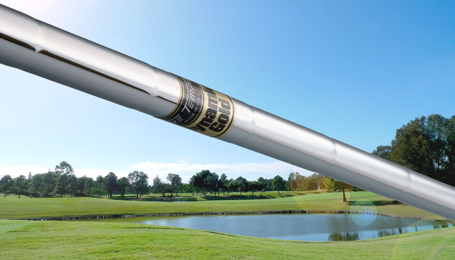 Dynamic Gold - トゥルーテンパースポーツインクジャパン