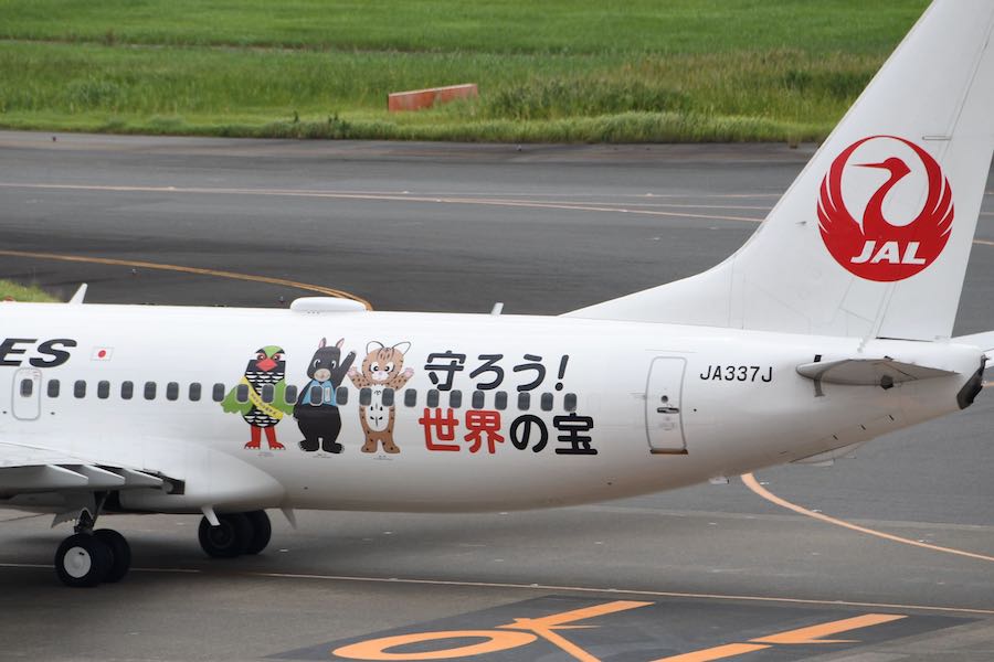 JAL、奄美・沖縄の世界遺産登録祝う特別塗装機就航 希少動物の