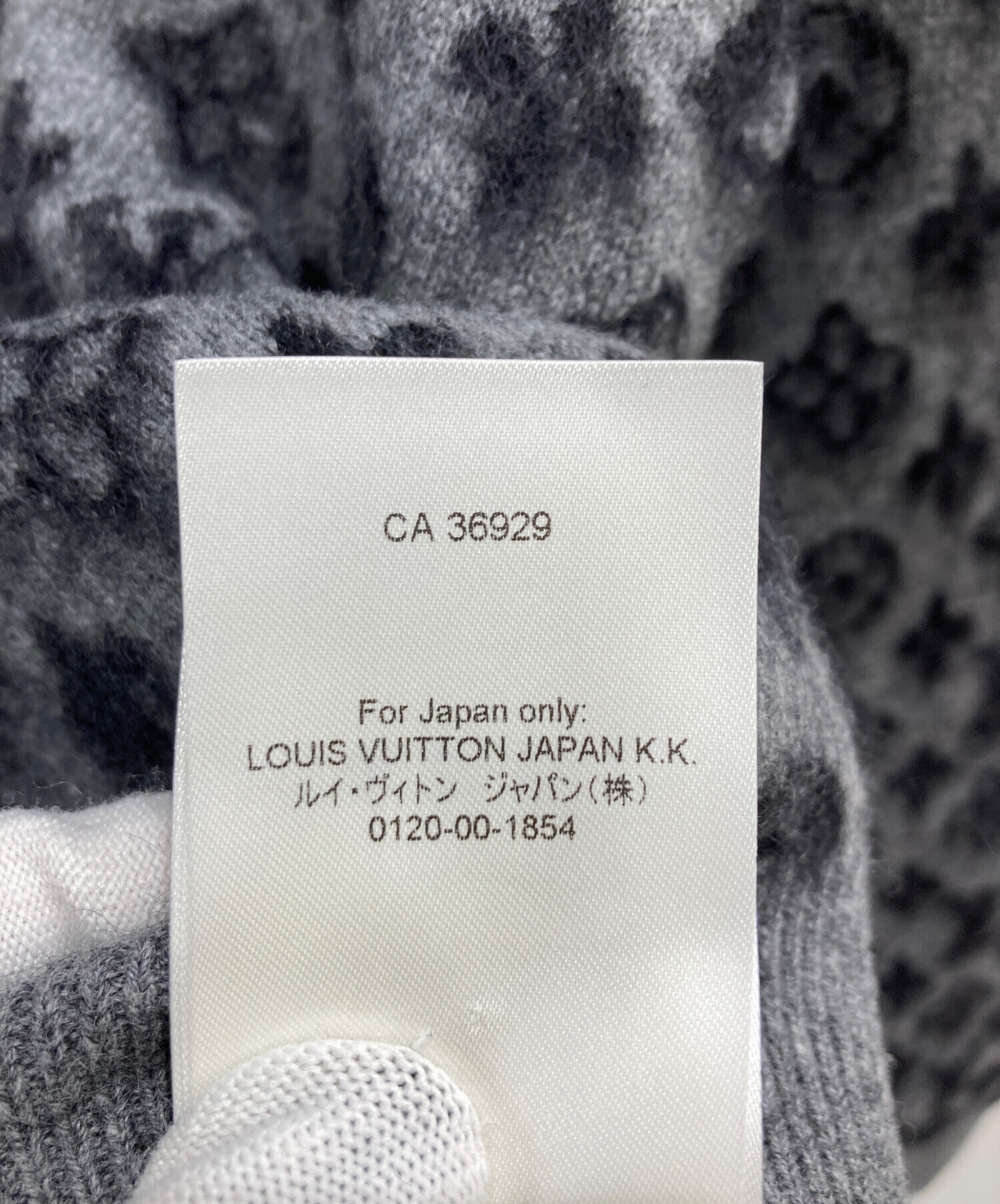 中古・古着通販】LOUIS VUITTON (ルイ ヴィトン) ブラッシュド